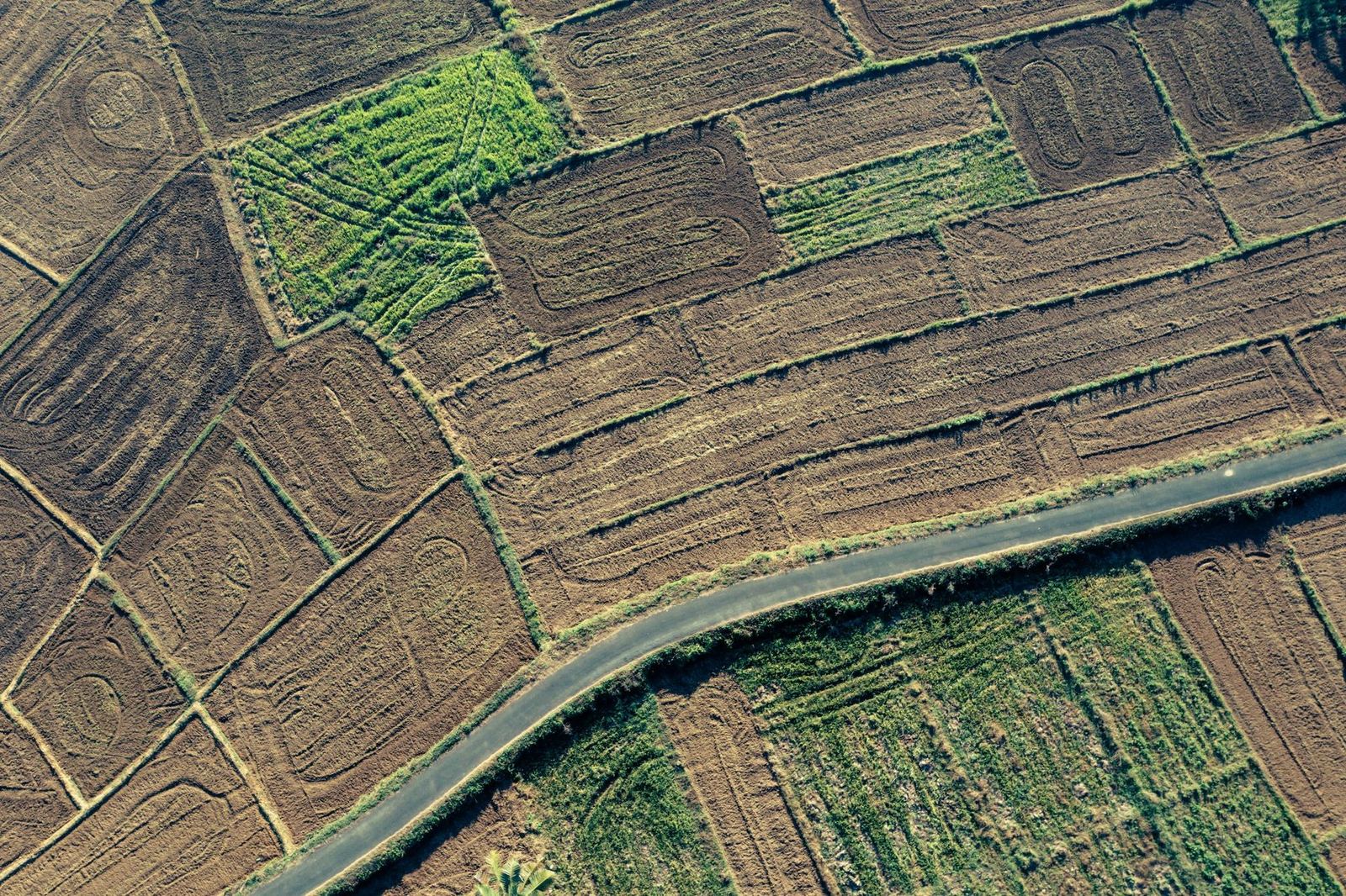 Vue aérienne de parcelles agricoles séparées par un chemin